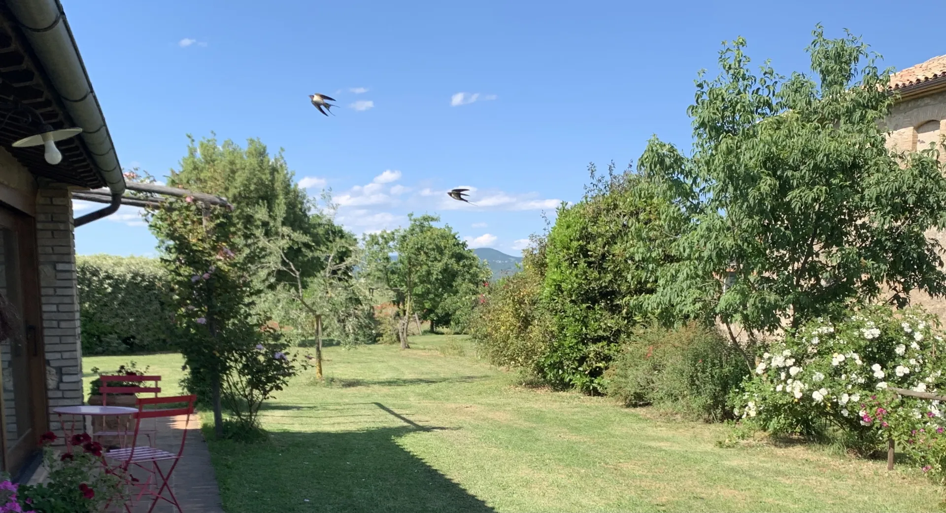 Milva's nest Countryside