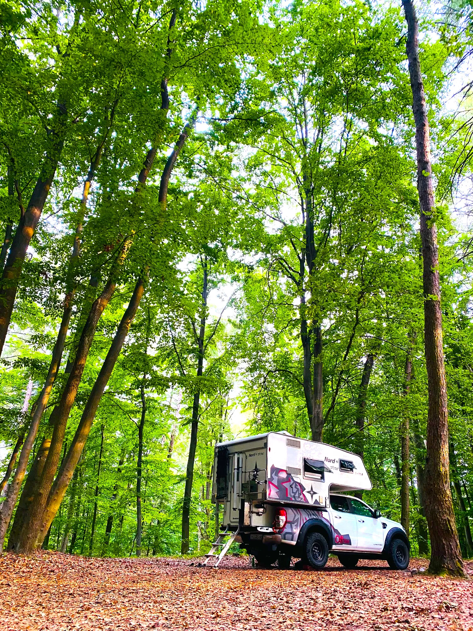 Vanstellplatz im Wald - Nr. 3